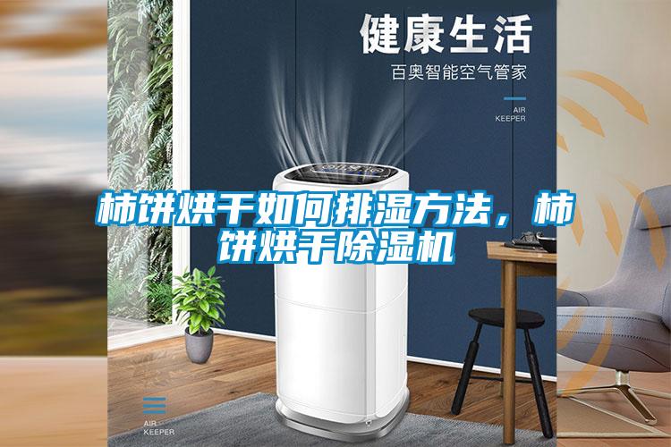 柿餅烘干如何排濕方法,柿餅烘干除濕機