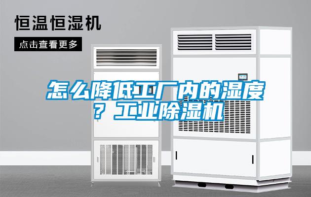 怎么降低工廠內的濕度?工業除濕機