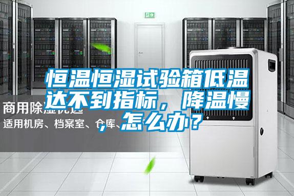 恒溫恒濕試驗(yàn)箱低溫達(dá)不到指標(biāo),降溫慢,怎么辦?