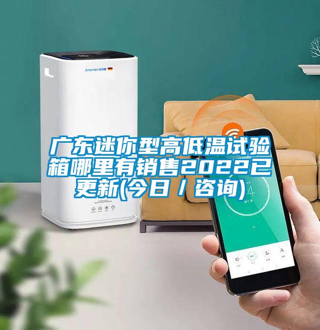廣東迷你型高低溫試驗(yàn)箱哪里有銷售2022已更新(今日/咨詢)
