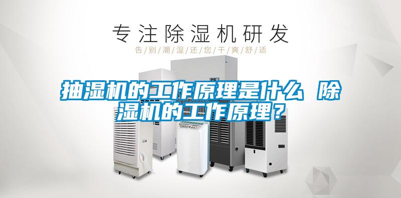 抽濕機的工作原理是什么 除濕機的工作原理?