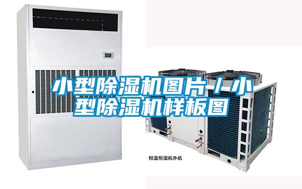 小型除濕機圖片/小型除濕機樣板圖