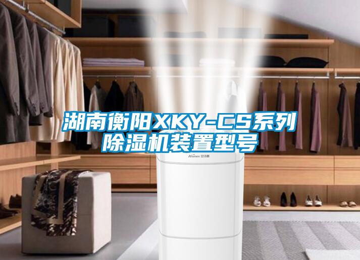 湖南衡陽XKY-CS系列除濕機裝置型號