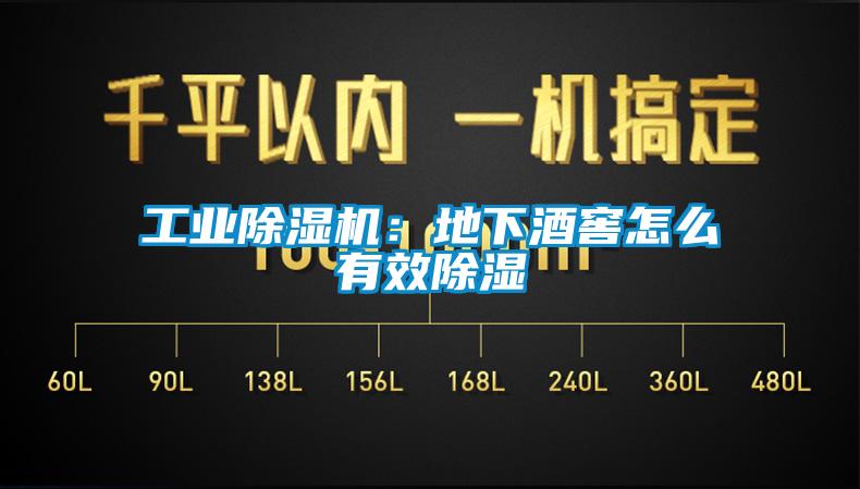 工業(yè)除濕機(jī):地下酒窖怎么有效除濕