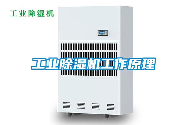 工業除濕機工作原理