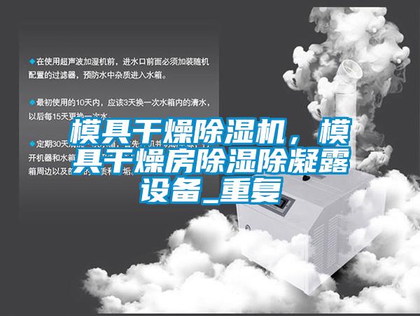 模具干燥除濕機,模具干燥房除濕除凝露設備_重復