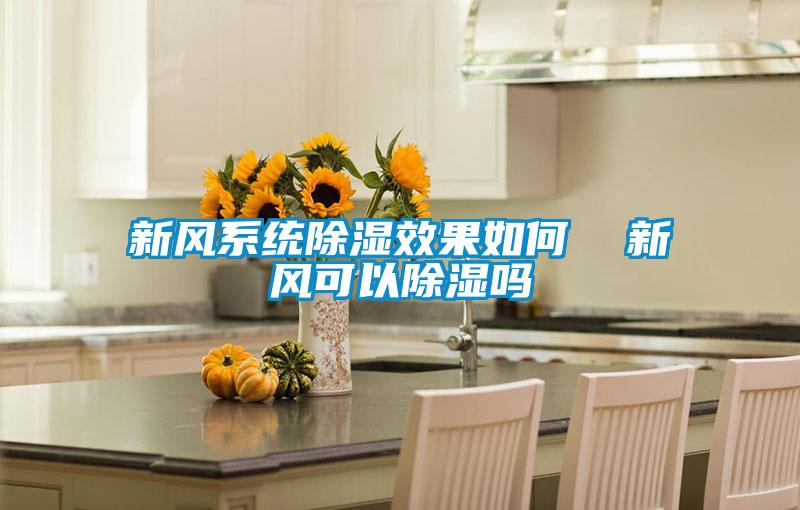 新風系統除濕效果如何 新風可以除濕嗎