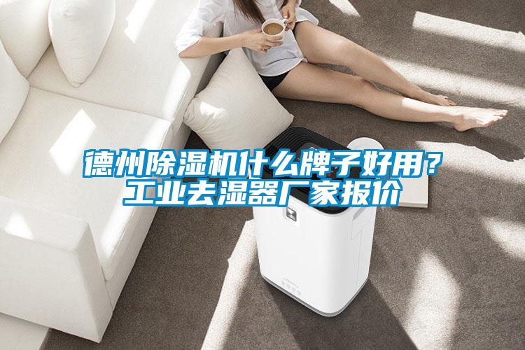 德州除濕機什么牌子好用？工業(yè)去濕器廠家報價