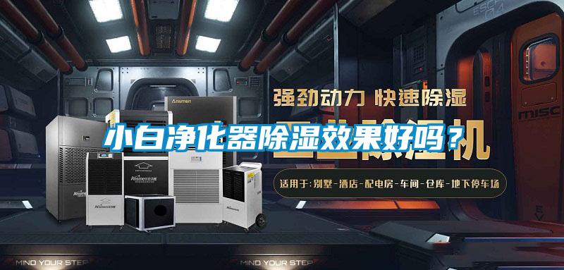 小白凈化器除濕效果好嗎？