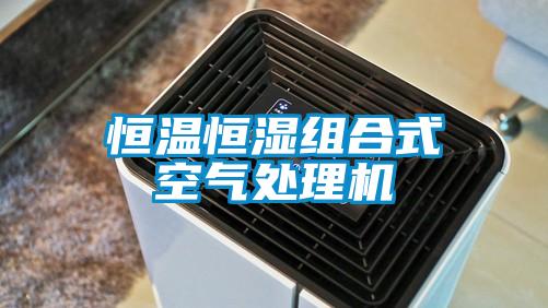 恒溫恒濕組合式空氣處理機