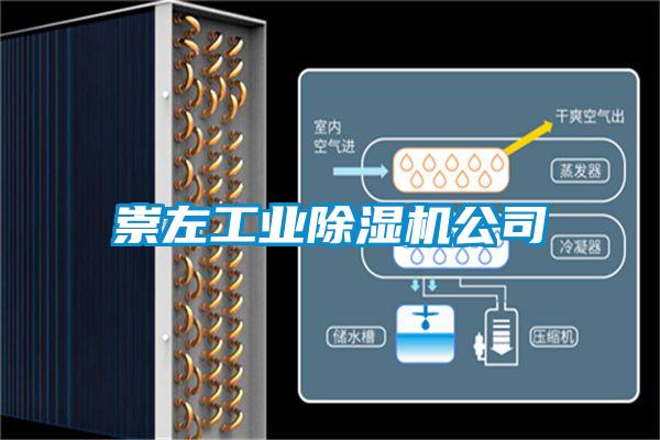 崇左工業除濕機公司