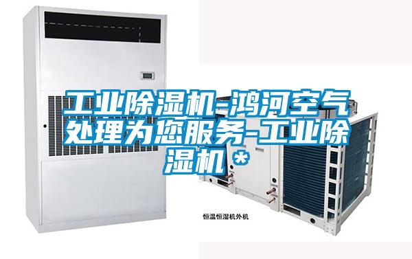 工業除濕機-鴻河空氣處理為您服務-工業除濕機＊