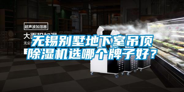 無錫別墅地下室吊頂除濕機選哪個牌子好?