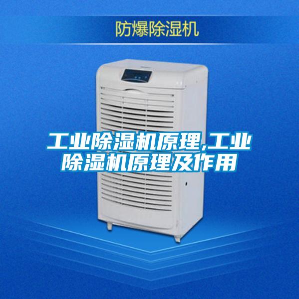 工業除濕機原理,工業除濕機原理及作用