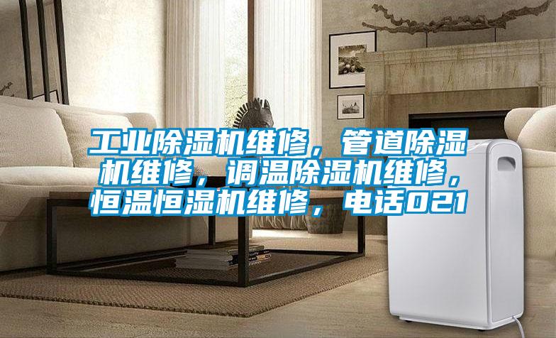 工業(yè)除濕機(jī)維修,管道除濕機(jī)維修,調(diào)溫除濕機(jī)維修,恒溫恒濕機(jī)維修,電話021