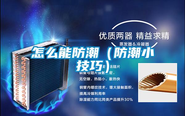 怎么能防潮(防潮小技巧)