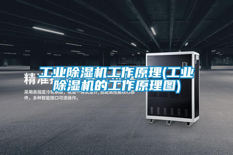 工業除濕機工作原理(工業除濕機的工作原理圖)