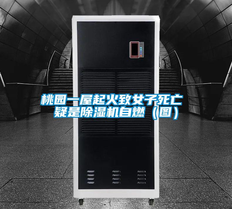 桃園一屋起火致女子死亡 疑是除濕機自燃（圖）