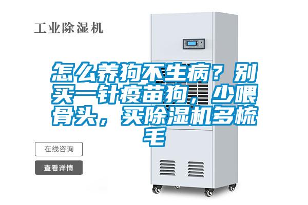 怎么養狗不生病？別買一針疫苗狗，少喂骨頭，買除濕機多梳毛