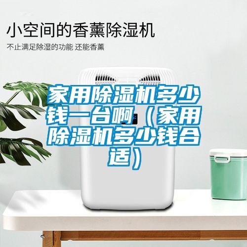 家用除濕機多少錢一臺啊(家用除濕機多少錢合適)