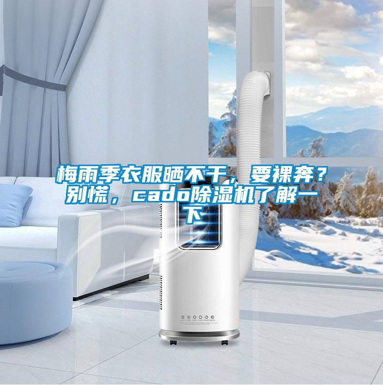 梅雨季衣服曬不干,要裸奔?別慌,cado除濕機了解一下