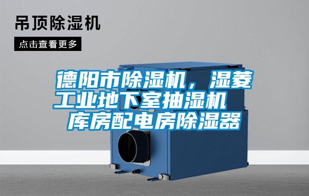 德陽市除濕機,濕菱工業(yè)地下室抽濕機 庫房配電房除濕器