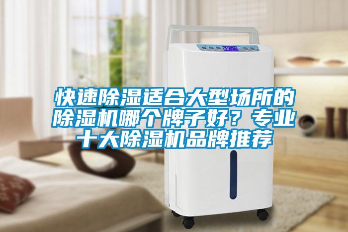 快速除濕適合大型場所的除濕機哪個牌子好?專業十大除濕機品牌推薦