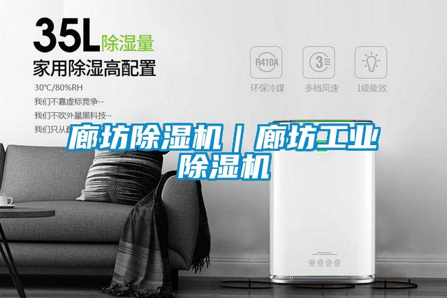 廊坊除濕機|廊坊工業除濕機