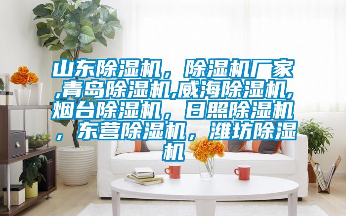 山東除濕機，除濕機廠家,青島除濕機,威海除濕機,煙臺除濕機，日照除濕機，東營除濕機，濰坊除濕機