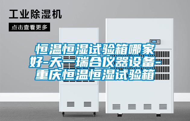 恒溫恒濕試驗箱哪家好-天一瑞合儀器設備-重慶恒溫恒濕試驗箱