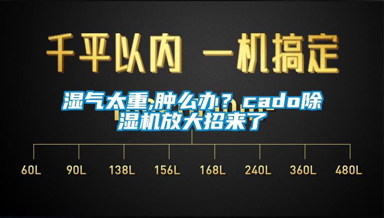 濕氣太重,腫么辦?cado除濕機放大招來了