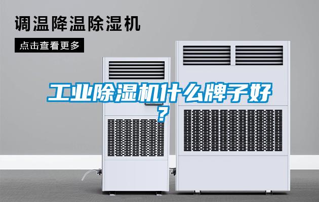 工業除濕機什么牌子好？