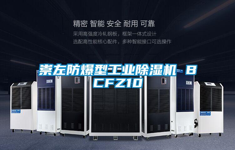 崇左防爆型工業除濕機 BCFZ10