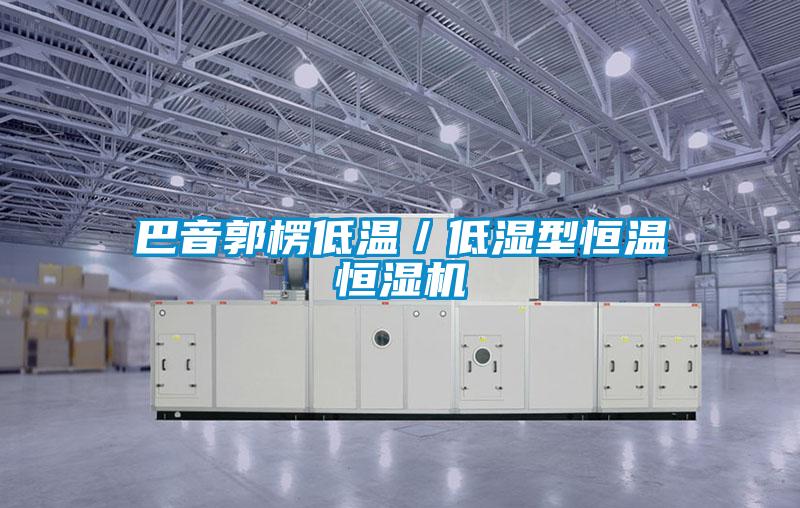 巴音郭楞低溫/低濕型恒溫恒濕機