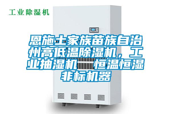 恩施土家族苗族自治州高低溫除濕機,工業抽濕機 恒溫恒濕非標機器