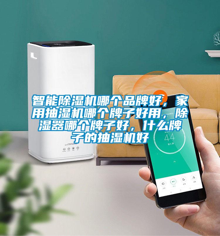 智能除濕機哪個品牌好，家用抽濕機哪個牌子好用，除濕器哪個牌子好，什么牌子的抽濕機好