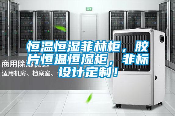 恒溫恒濕菲林柜,膠片恒溫恒濕柜,非標設計定制!