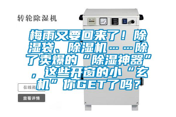 梅雨又要回來了!除濕袋、除濕機……除了賣爆的“除濕神器”,這些開窗的小“玄機”你GET了嗎?