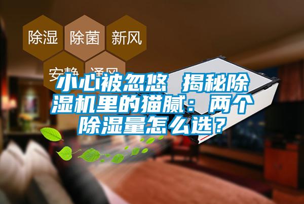 小心被忽悠 揭秘除濕機里的貓膩:兩個除濕量怎么選?