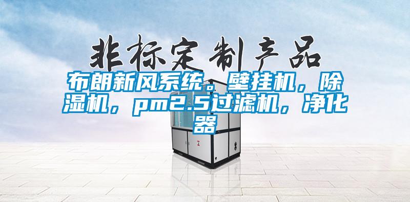 布朗新風系統。壁掛機,除濕機,pm2.5過濾機,凈化器