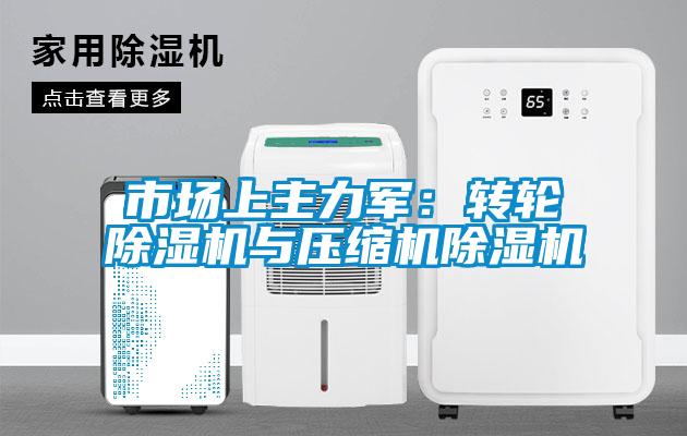 市場上主力軍:轉輪除濕機與壓縮機除濕機