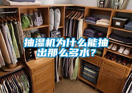 抽濕機(jī)為什么能抽出那么多水？
