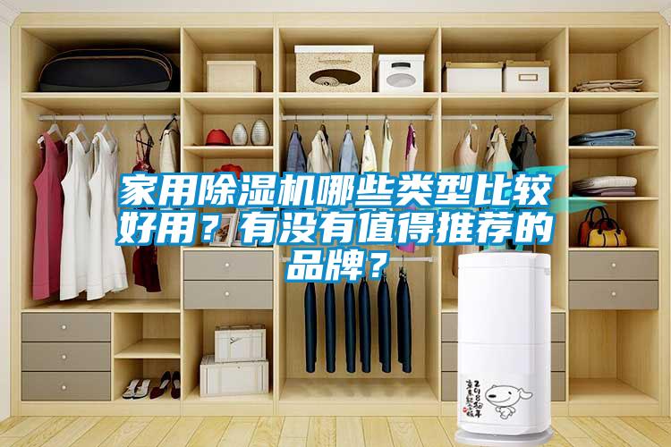 家用除濕機哪些類型比較好用?有沒有值得推薦的品牌?