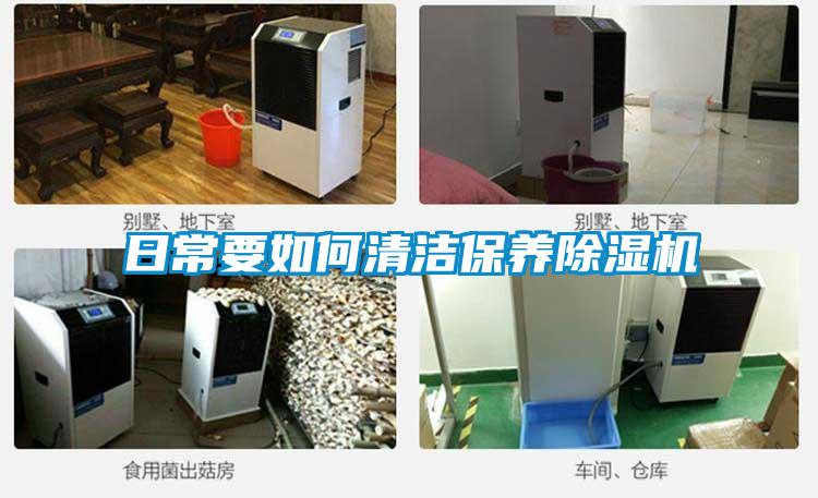 日常要如何清潔保養除濕機