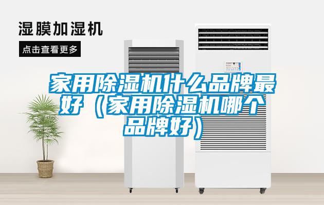 家用除濕機什么品牌最好(家用除濕機哪個品牌好)
