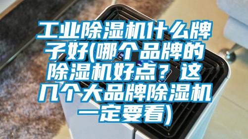 工業除濕機什么牌子好(哪個品牌的除濕機好點?這幾個大品牌除濕機一定要看)