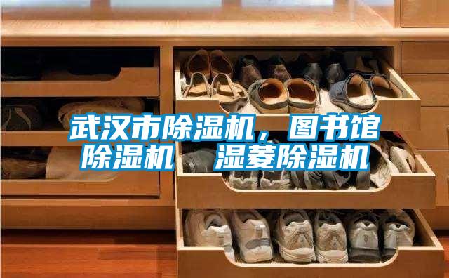 武漢市除濕機,圖書館除濕機 濕菱除濕機