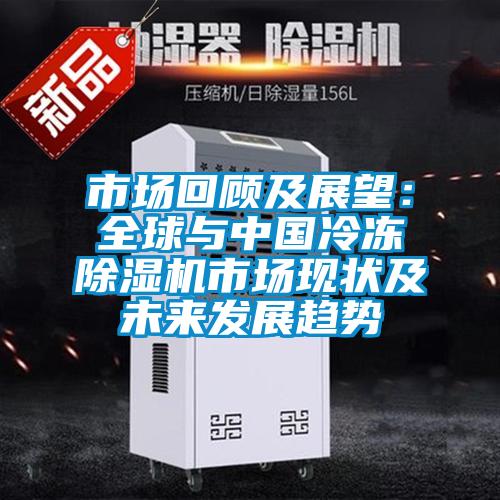 市場回顧及展望:全球與中國冷凍除濕機市場現(xiàn)狀及未來發(fā)展趨勢
