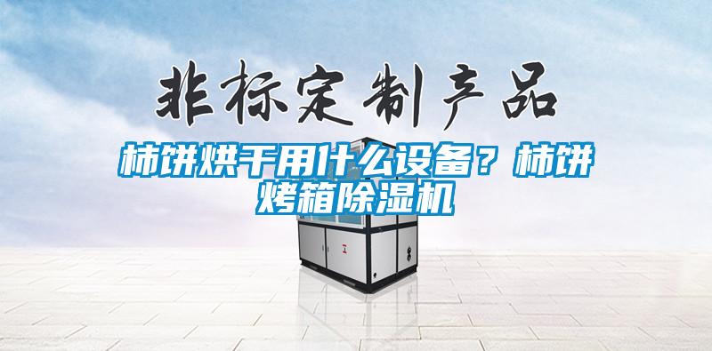 柿餅烘干用什么設(shè)備?柿餅烤箱除濕機