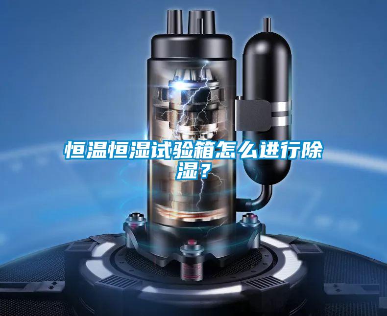 恒溫恒濕試驗箱怎么進行除濕?
